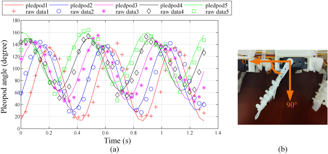 顶刊发表！浙江理工仿螳螂虾机器人最大游速0.28 m/s，最小转弯半径0.36 m(图4)
